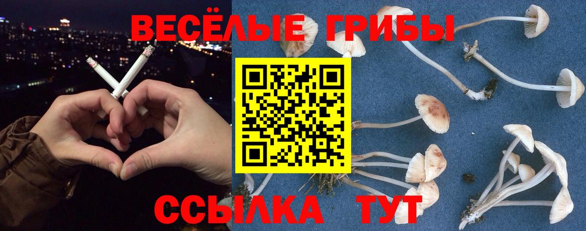 Галлюциногенные грибы ЛСД Гусь-Хрустальный